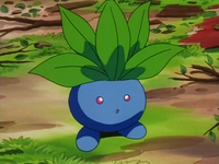 Mariah's Oddish