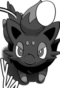 N's Zorua