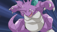 Paul's Nidoking