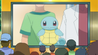 Professor Oak's Squirtle