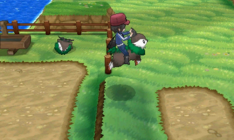 XY Prerelease riding Skiddo.png