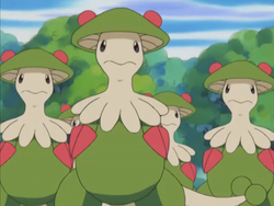 Shroomish Forest Breloom.png