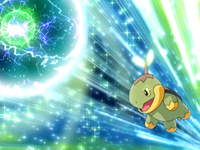 Ash Turtwig Energy Ball.png