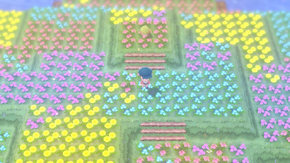 Flower Paradise BDSP.png