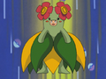 Nicholai dressed as a Bellossom