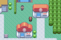 Poké Mart with red roof and black-suited Gentleman in Petalburg City