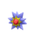 Starmie