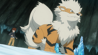 Gary's Arcanine