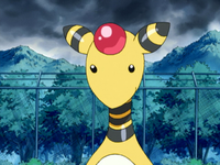 Karsten's Ampharos