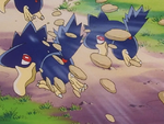 Murkrow Mud-Slap.png