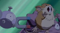 Team Rocket Grunt's Raticate