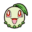 Chikorita