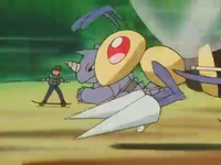 Extreme Pokémon Race Beedrill.png