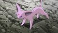 Espeon in the anime