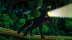 Virgil Umbreon Flash.png